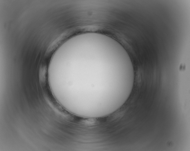 X0000113210118200909100956