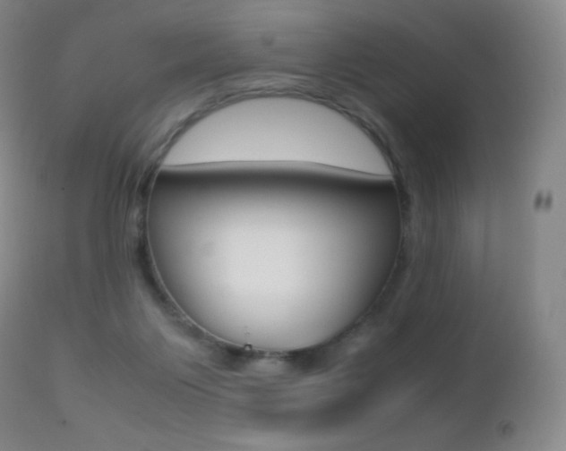 X0000113210119200909100956