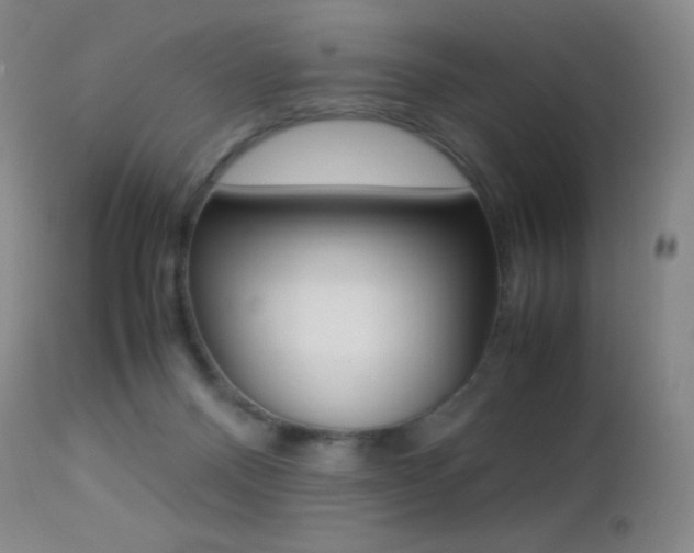 X0000113210120200909100956