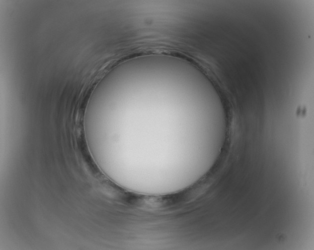 X0000113210121200909100956