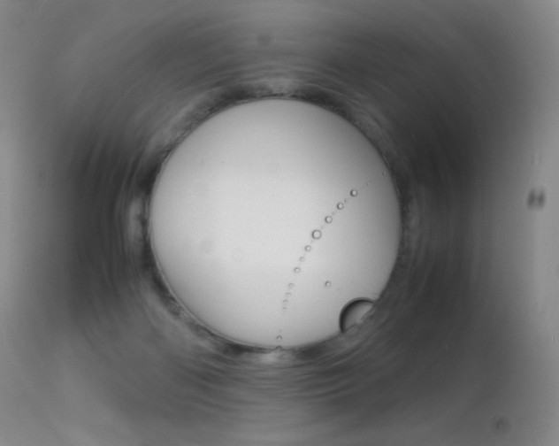 X0000113210122200909100956