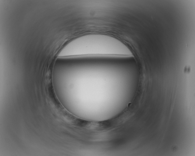 X0000113210123200909100956