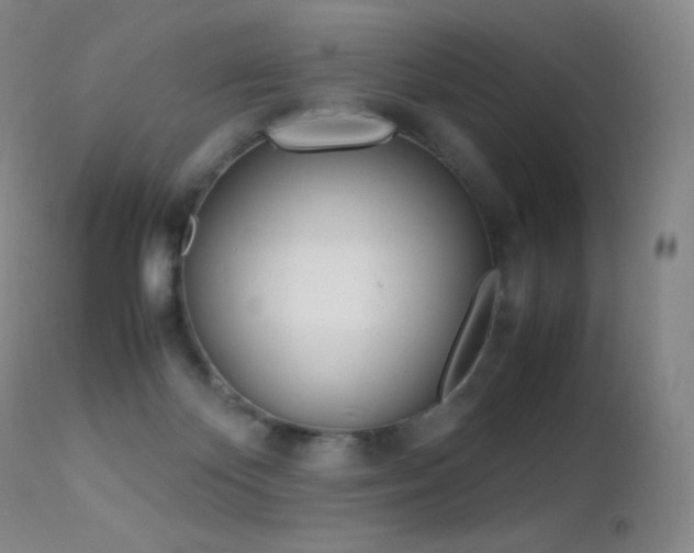 X0000113210124200909100956