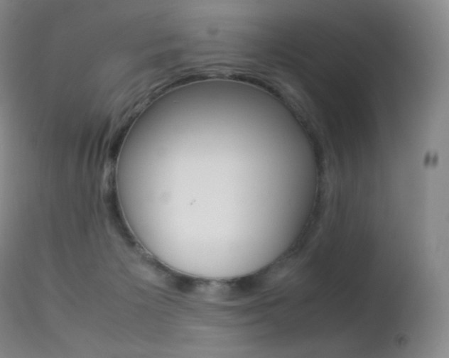 X0000113210125200909100956