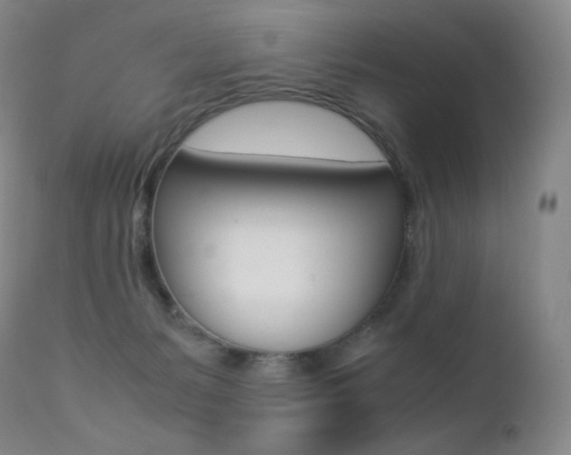 X0000113210127200909100956
