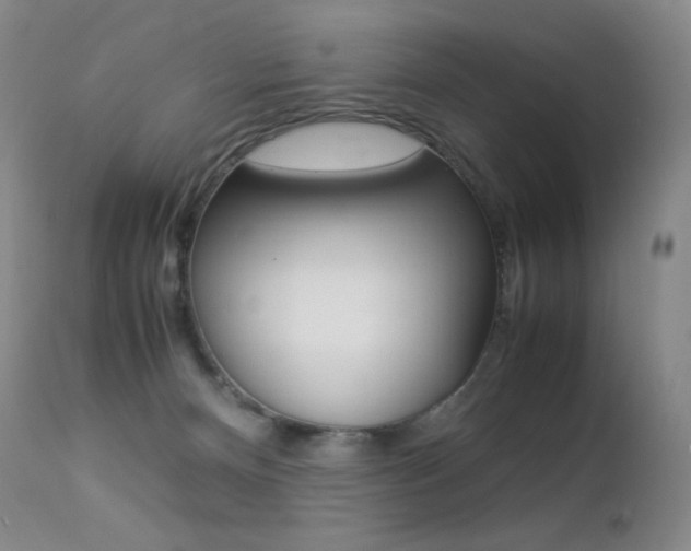 X0000113210128200909100956