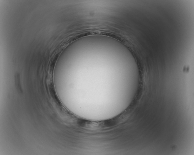 X0000113210129200909100956
