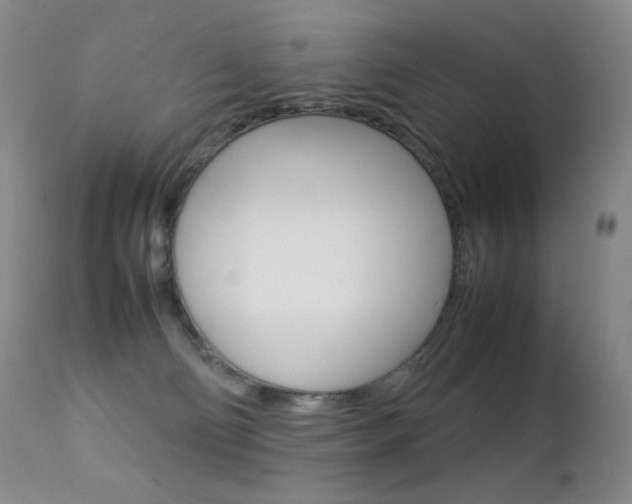 X0000113210130200909100956
