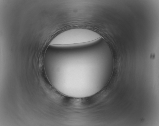 X0000113210131200909100956