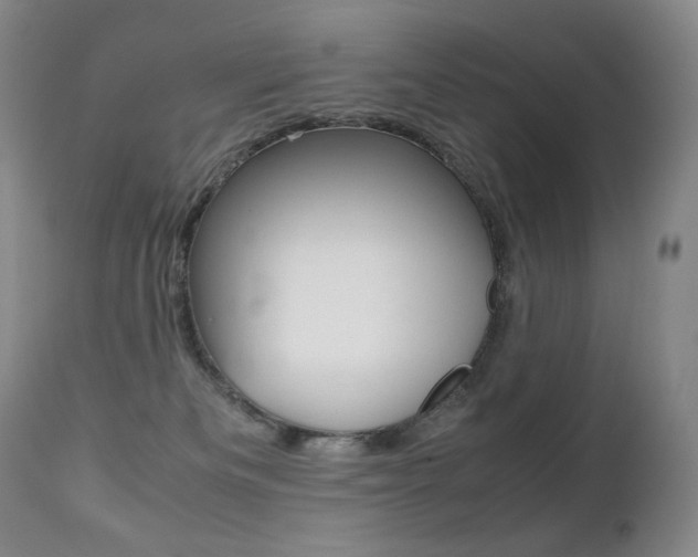 X0000113210133200909100956