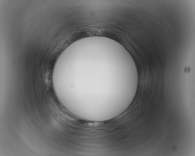 X0000113210134200909100956
