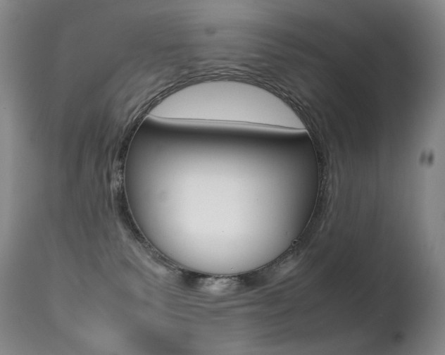 X0000113210135200909100956