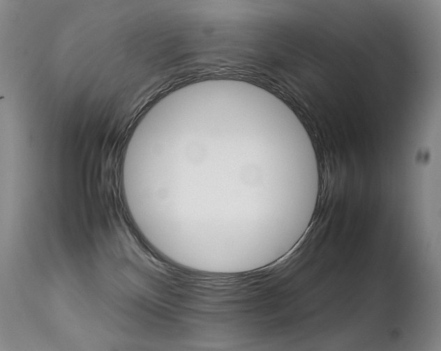 X0000113210136200909100956