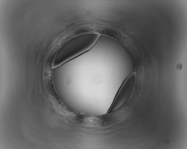 X0000113210137200909100956
