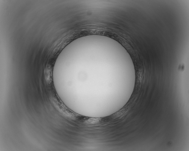 X0000113210138200909100956