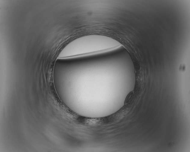 X0000113210139200909100956