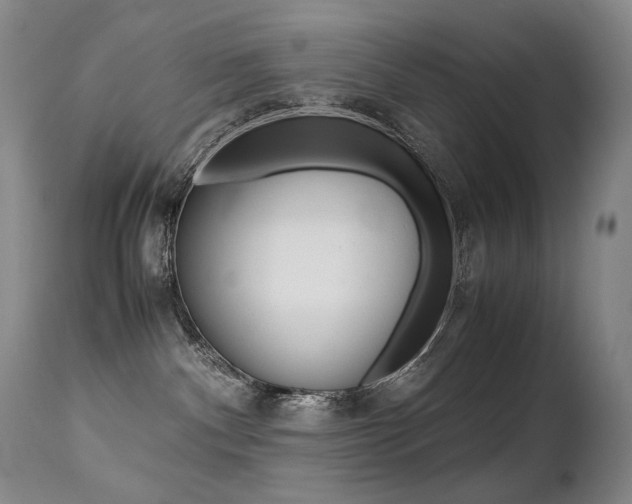 X0000113210140200909100956