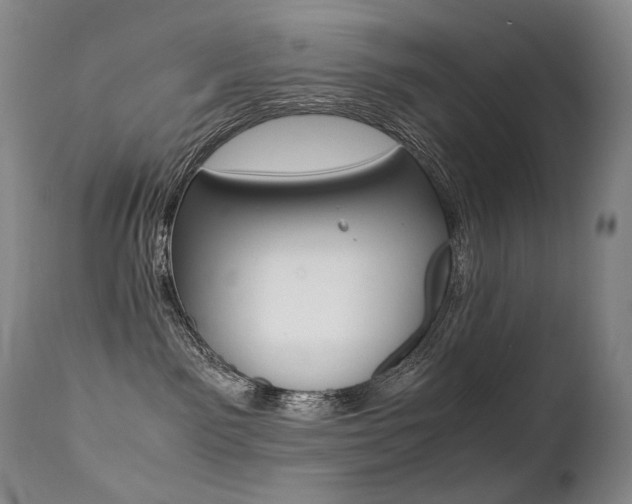 X0000113210141200909100956