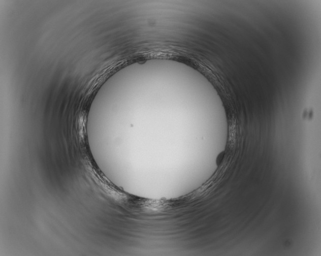 X0000113210142200909100956
