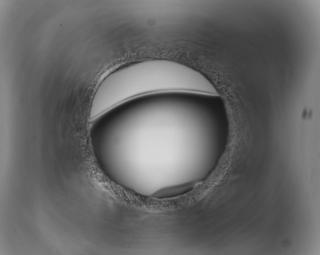 X0000113210144200909100956