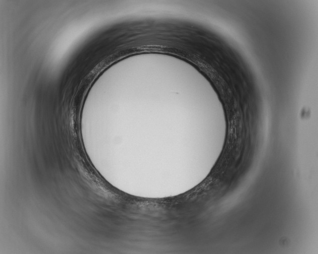 X0000113210146200909100955