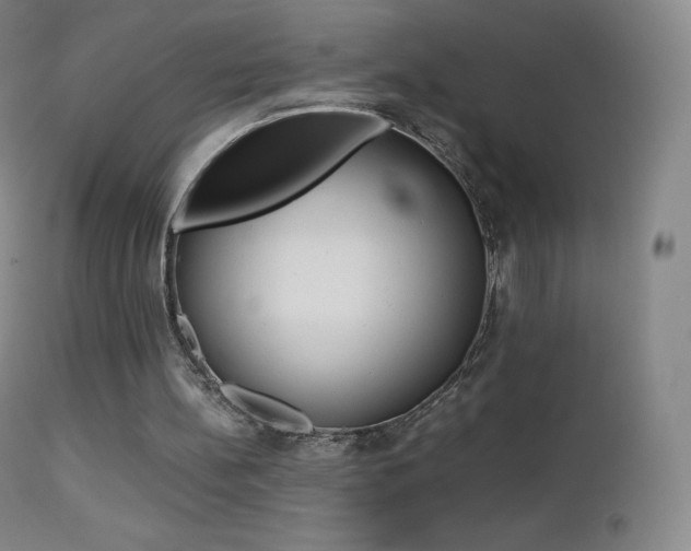 X0000113210148200909100955