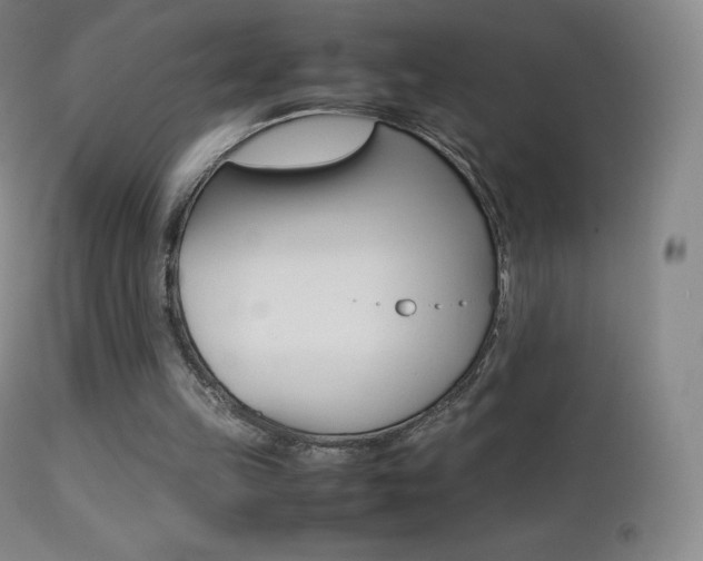 X0000113210149200909100955