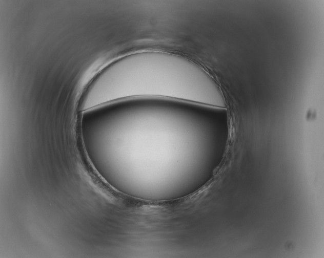 X0000113210150200909100955