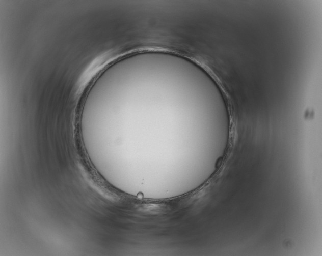 X0000113210151200909100955