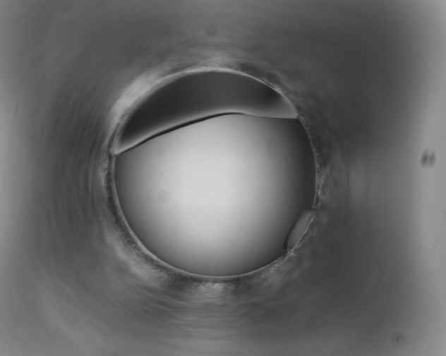 X0000113210152200909100955