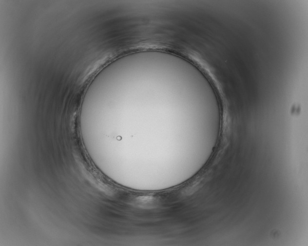 X0000113210153200909100955