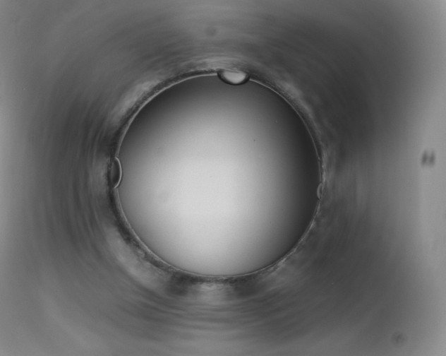 X0000113210154200909100955