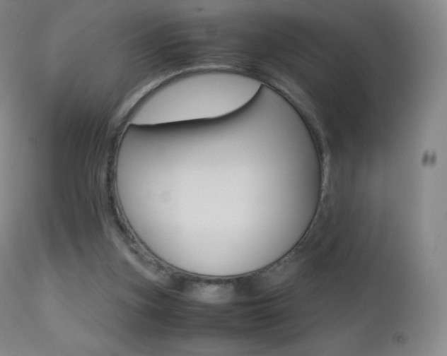 X0000113210155200909100955