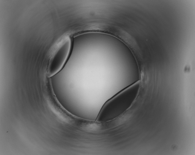 X0000113210156200909100955