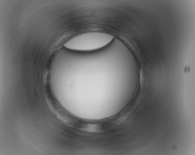 X0000113210157200909100955