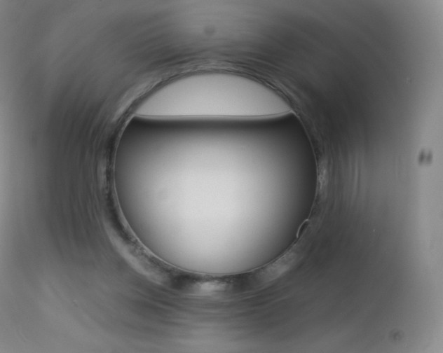X0000113210158200909100955