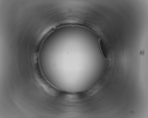X0000113210160200909100955