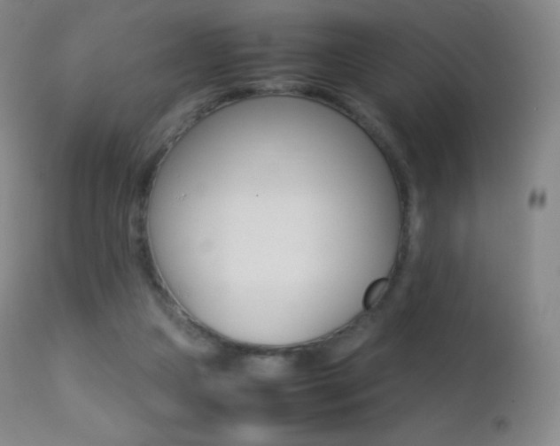 X0000113210161200909100955
