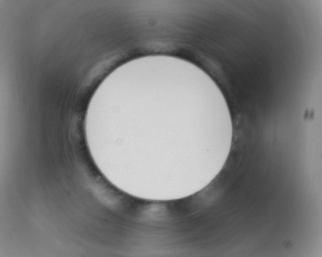 X0000113210162200909100955