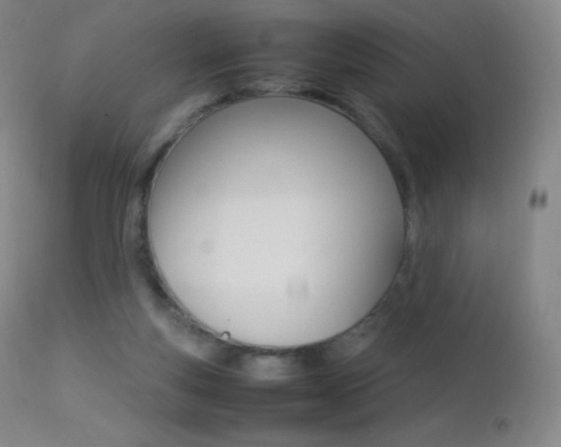 X0000113210163200909100955