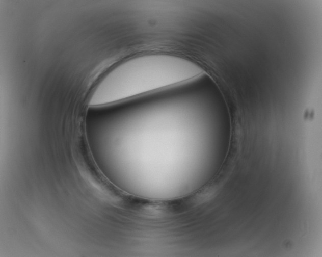 X0000113210164200909100955