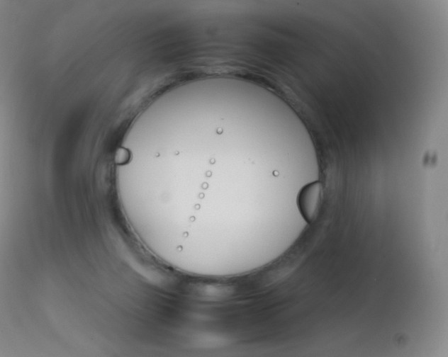X0000113210165200909100955