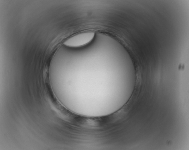 X0000113210166200909100955