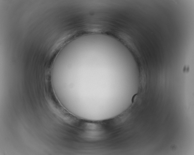 X0000113210167200909100955