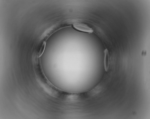 X0000113210168200909100955