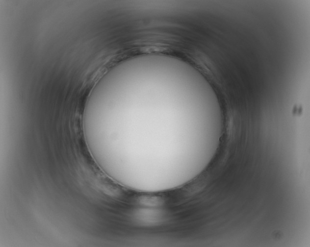 X0000113210169200909100955