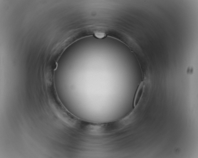 X0000113210170200909100955