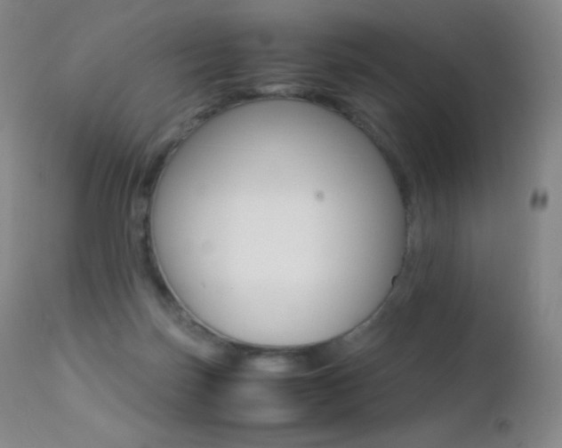 X0000113210171200909100955