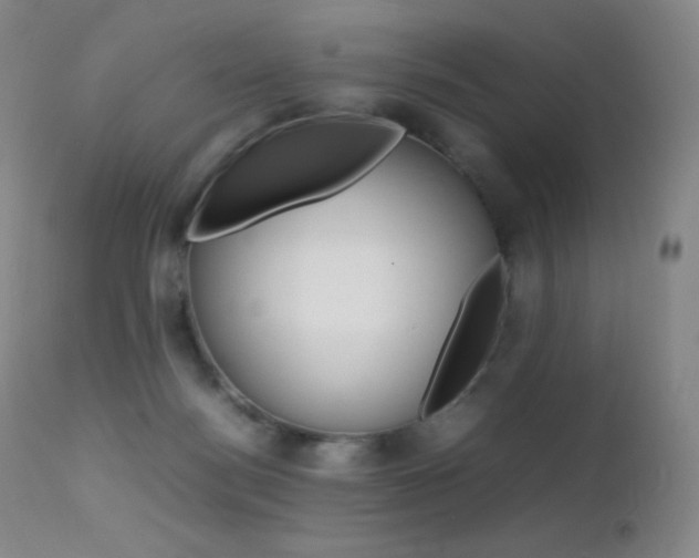 X0000113210172200909100955