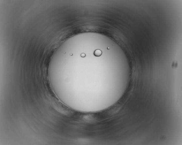 X0000113210173200909100955
